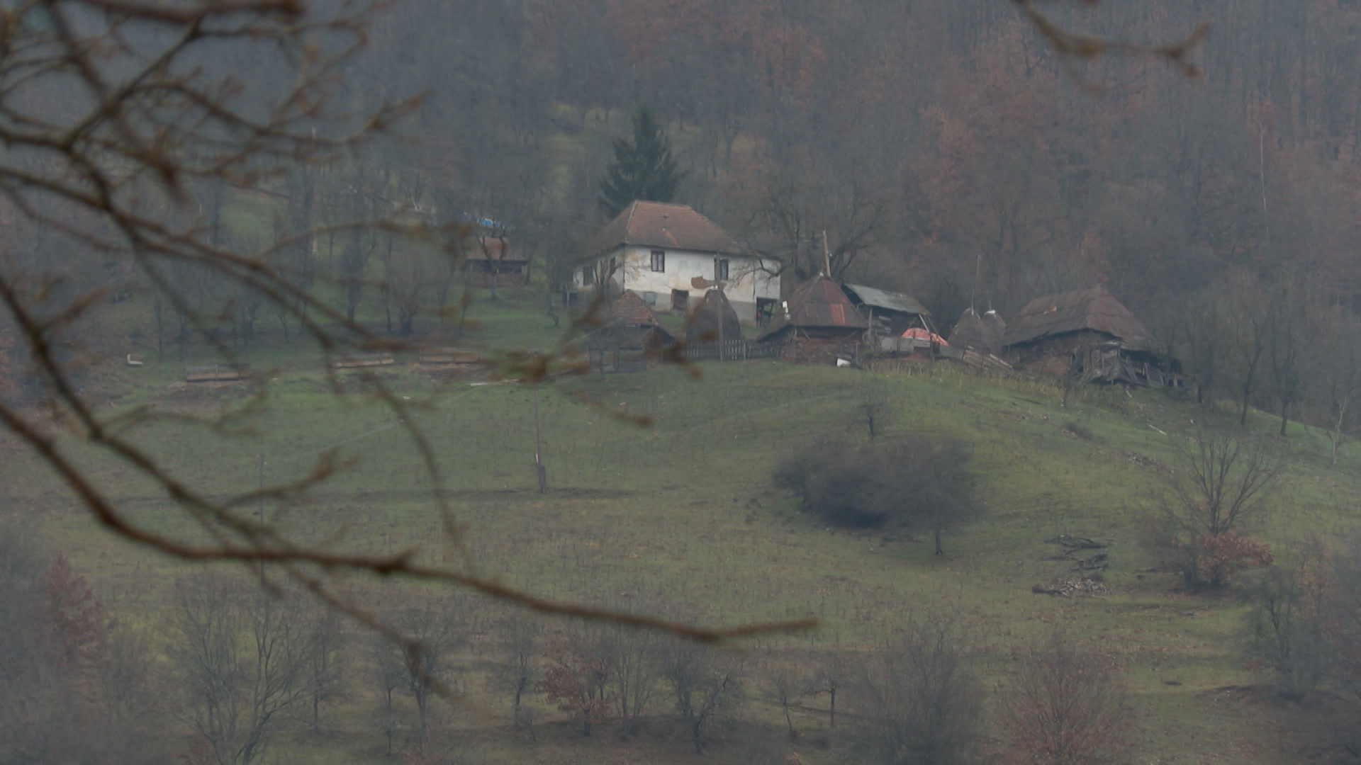 SA-FOCA PKG-DAG-1(20221214-173819046).mxf.00_00_00_00.Still001