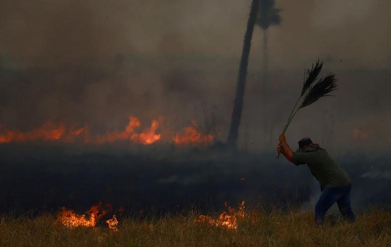 Vatra guta drveće i pašnjake u San Luis del Palmar, provincija Korijentes, Argentina 19. februar. REUTERS/Matias Baglietto