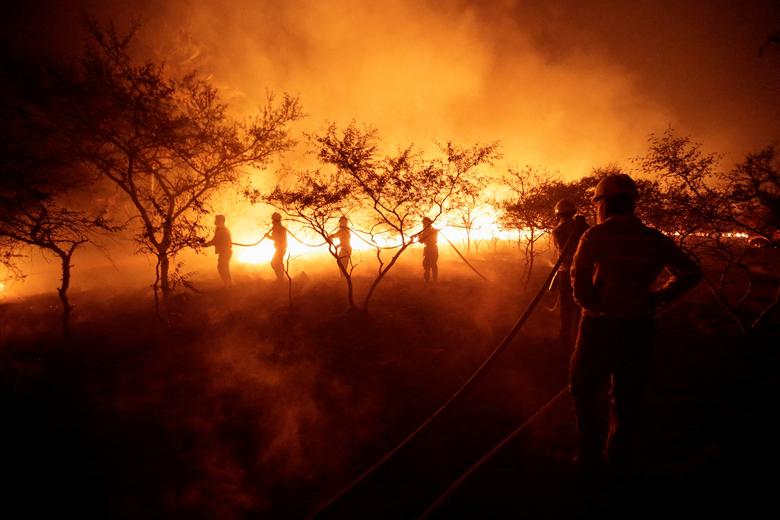 Vatrogasci se bore protiv šumskih požara, u Surubiju, Paragvaj, 10. januara. REUTERS/Cesar Olmedo