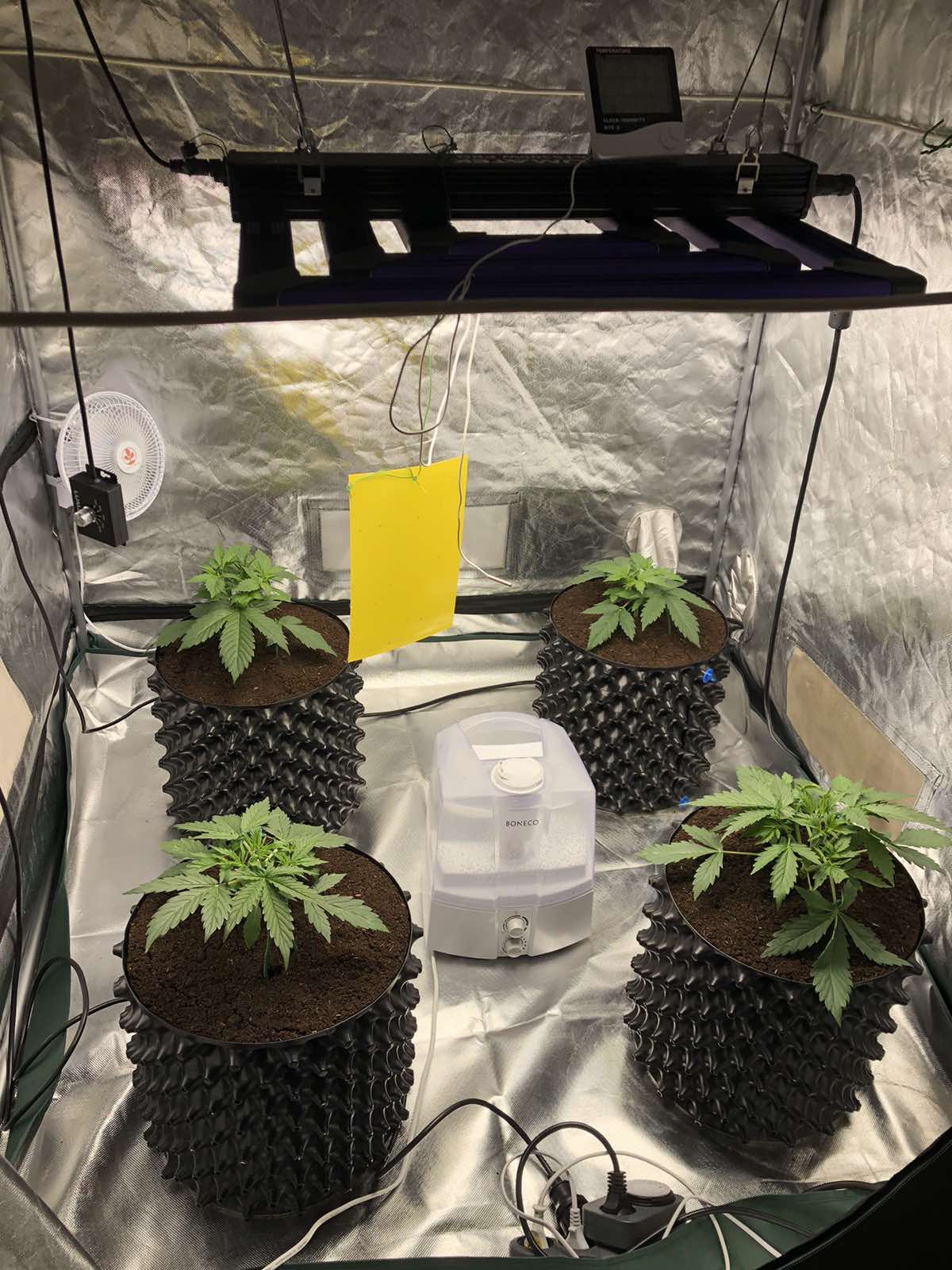 img-e6aa532bb8c1297fc180eae3fc944954-v