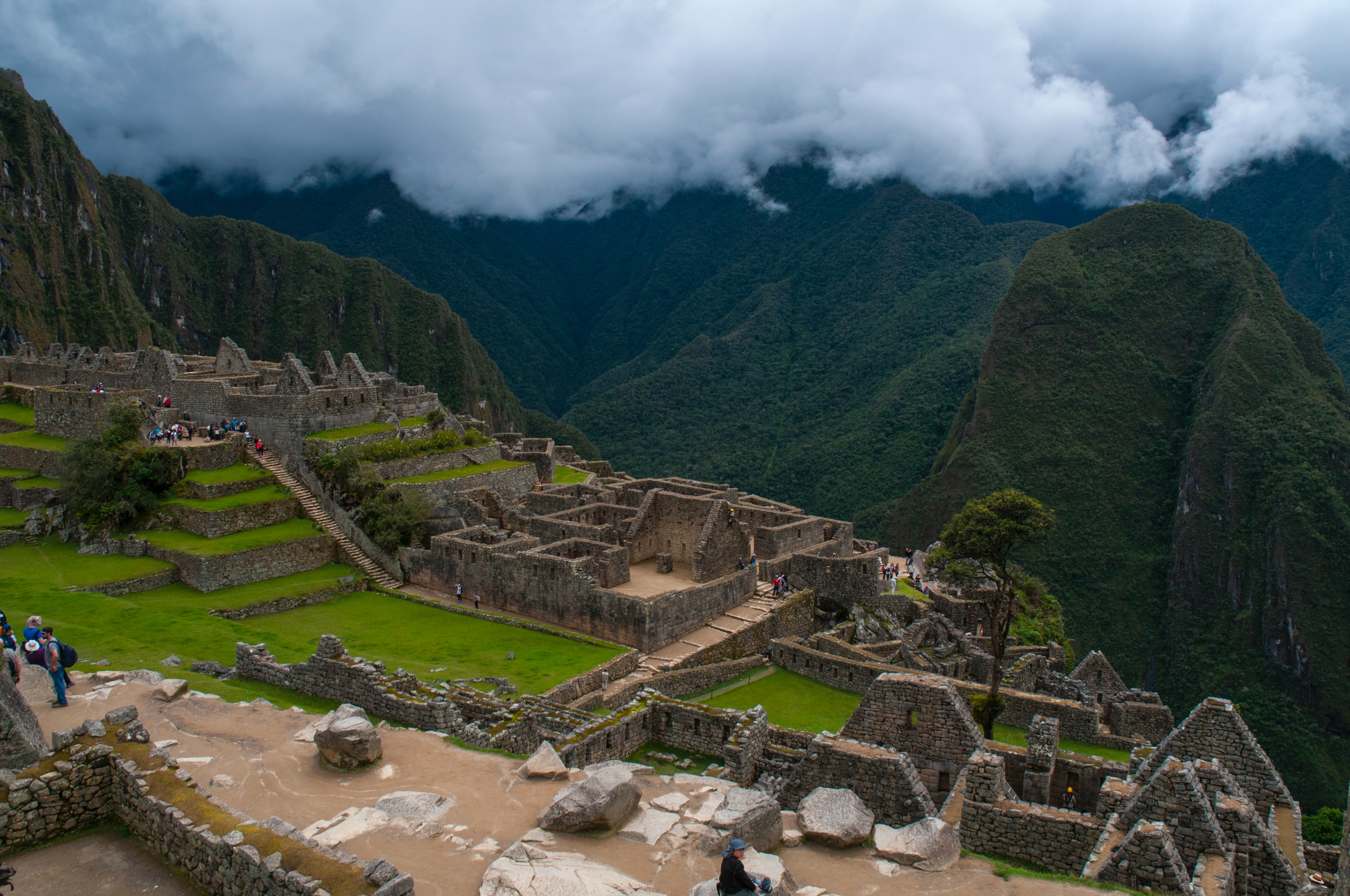 pexels-max-parada-valdivia-14374413