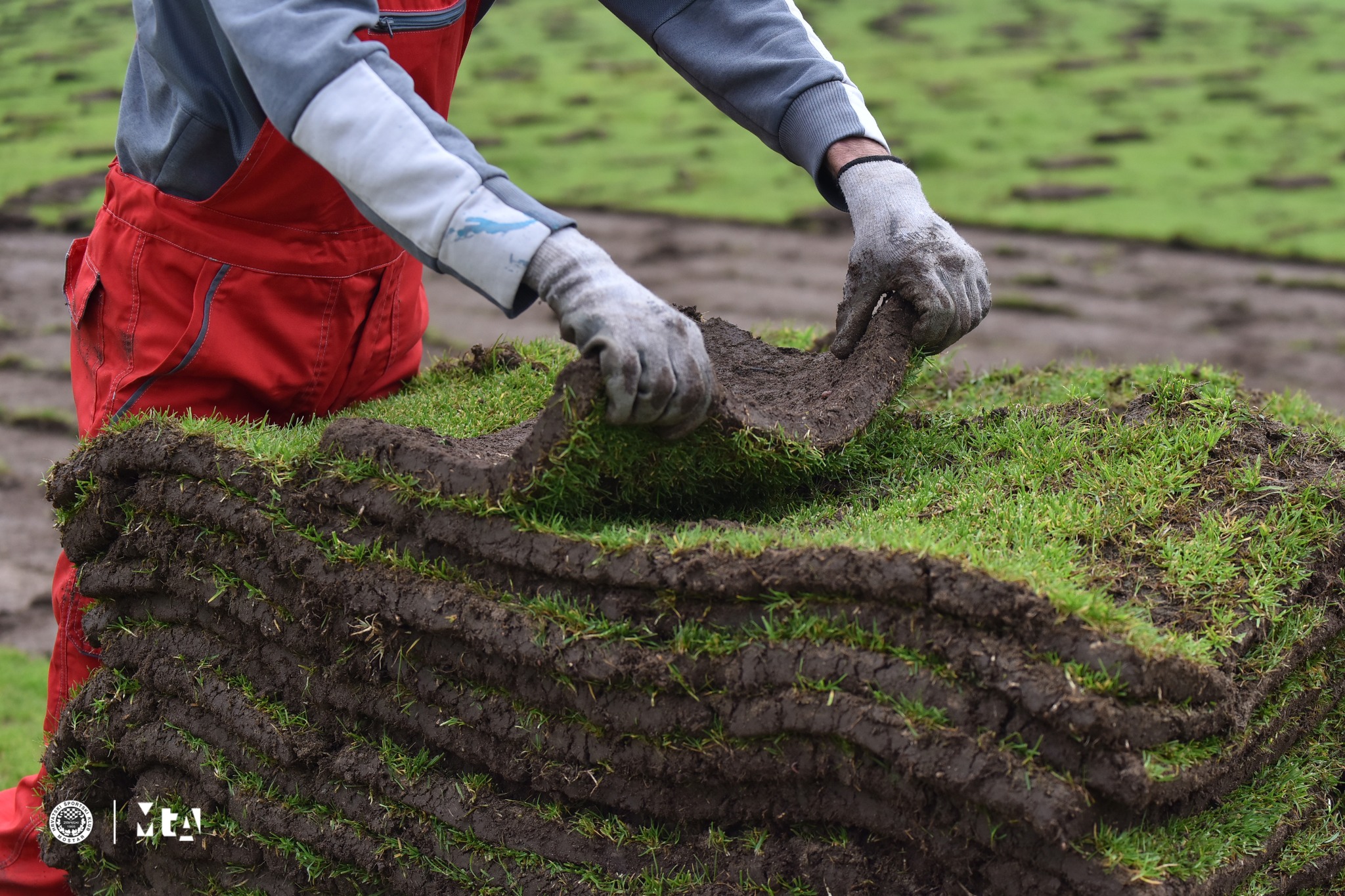 322552940_1913674498978435_3971062166661826876_n