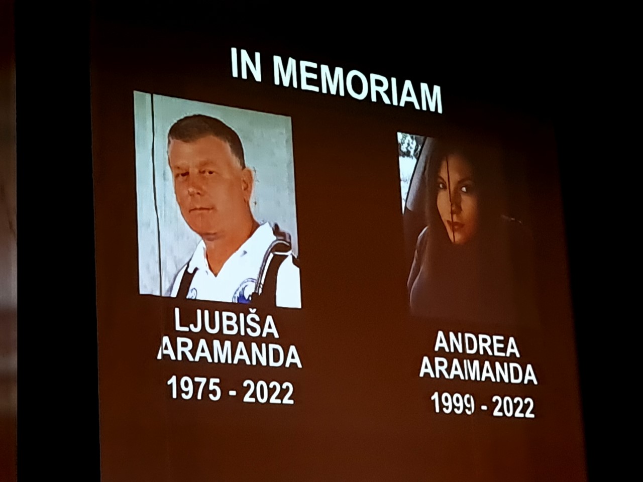 ljubiša aramanda