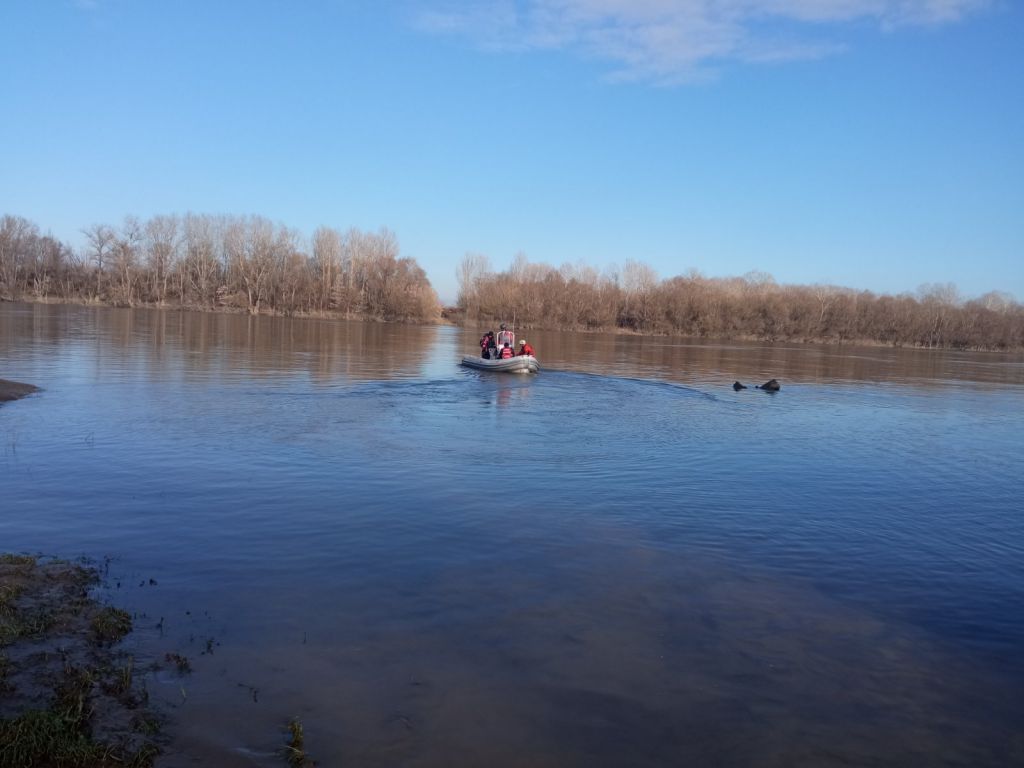 utapanje truski drzavljani sava fucz