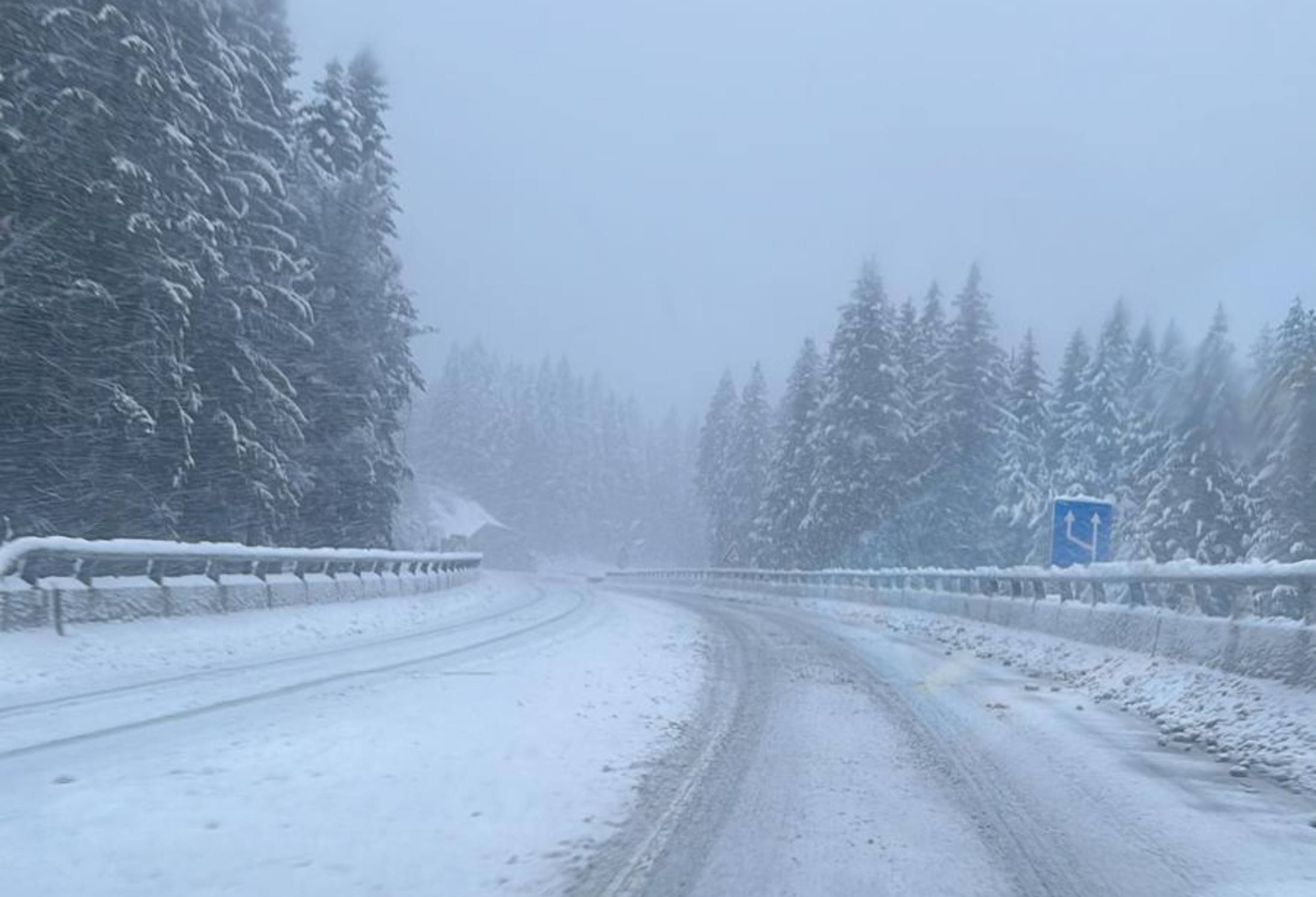 Dizajn bez naslova (83)