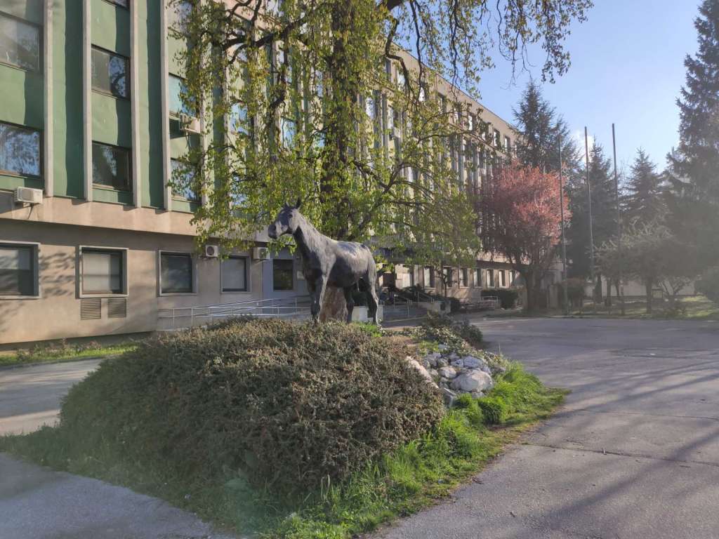 l_58ba141fb0d52c1ce5a2ec302372a410