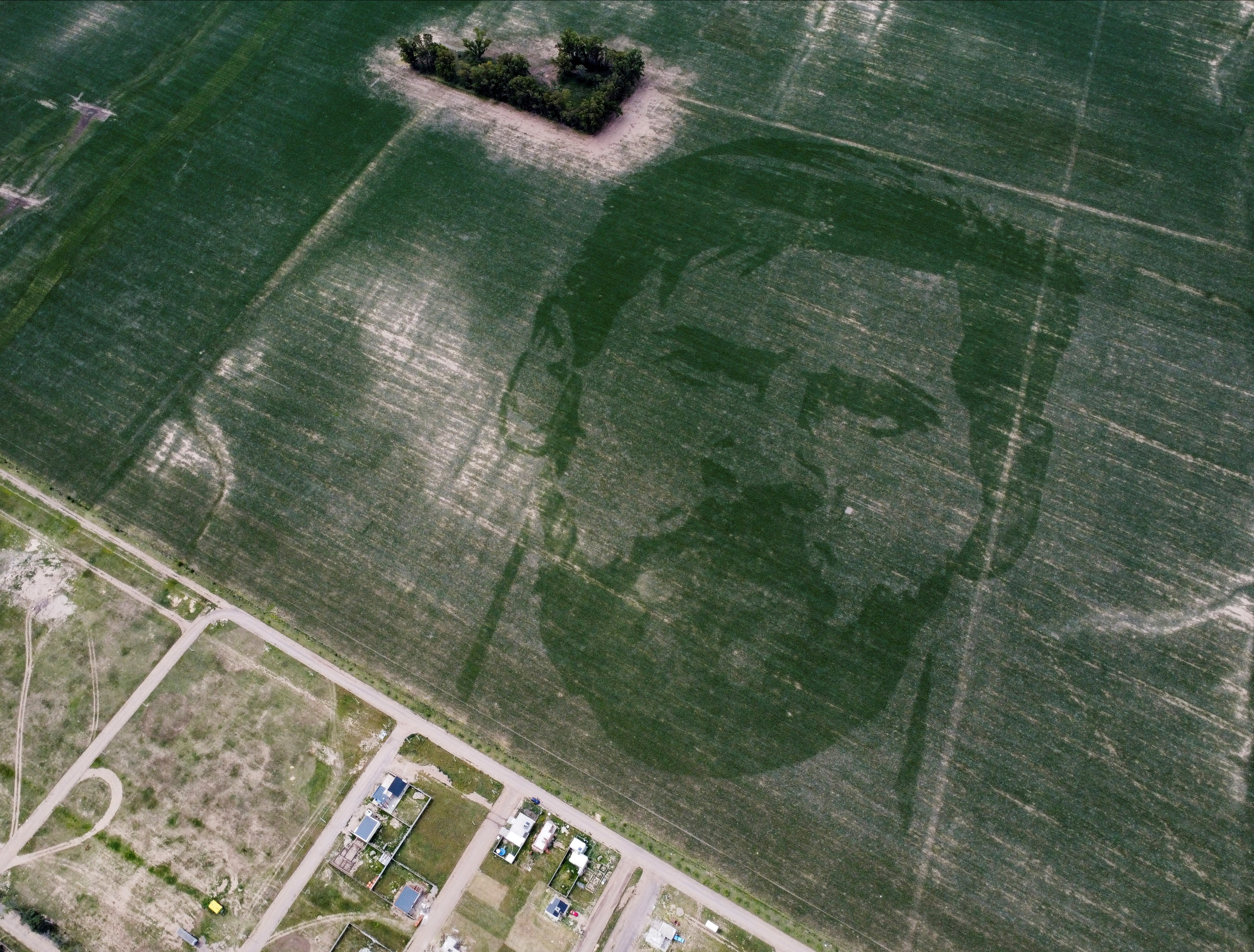 Argentine corn field grows with the face of World Cup winner Messi