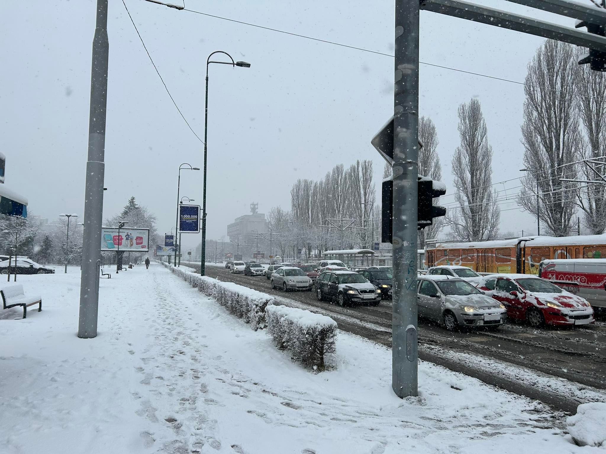 N1