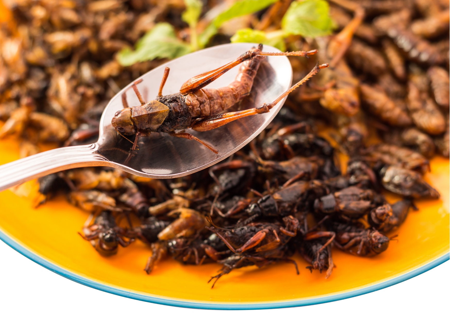 Black and Gold New Year Thankyou Card (7)