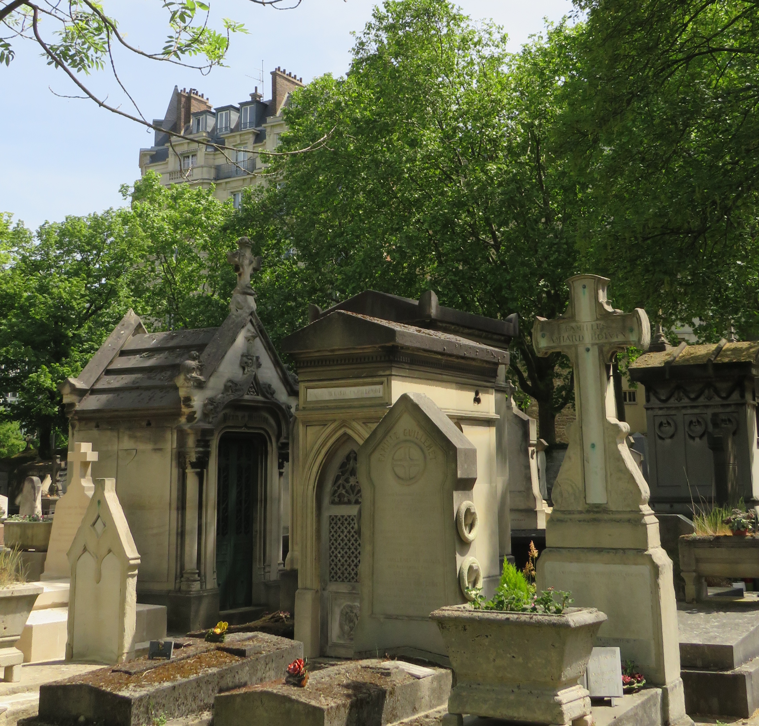 20220514211556_IMG_0481