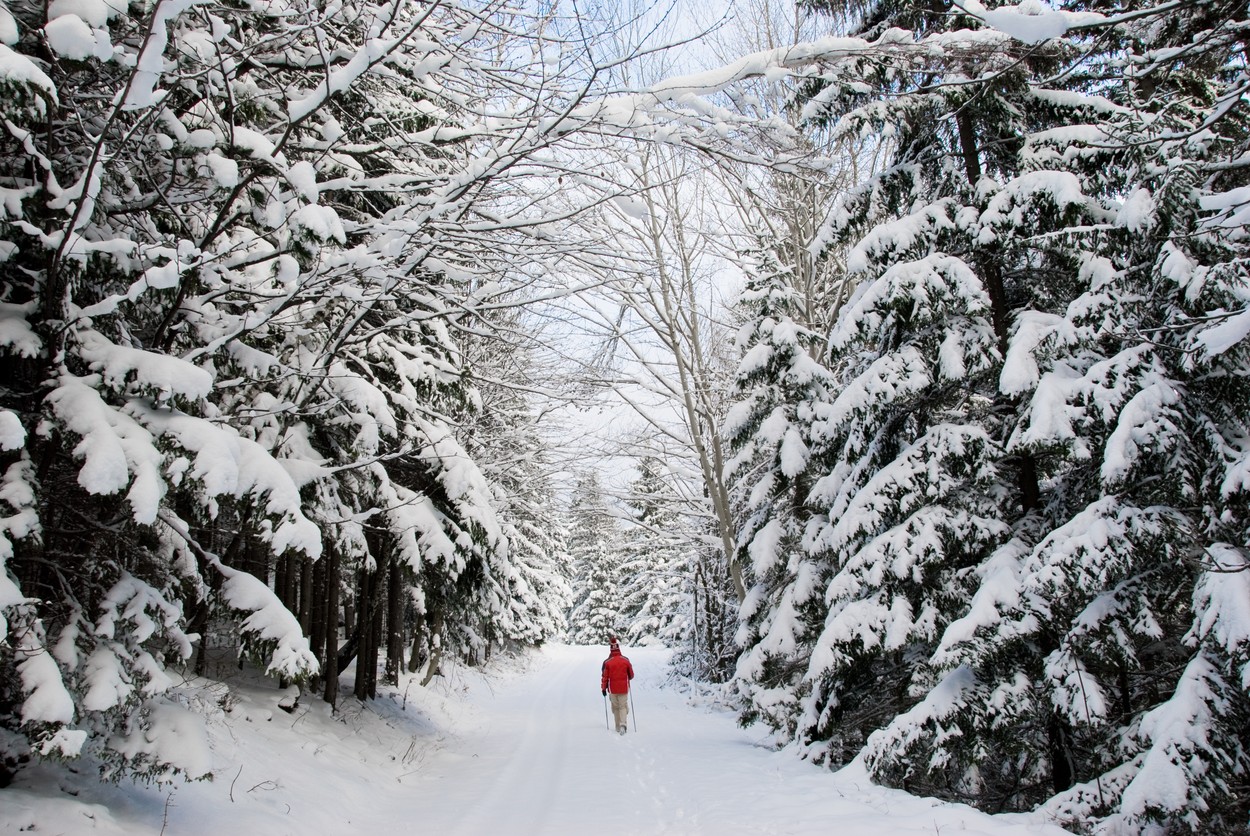 winter walking