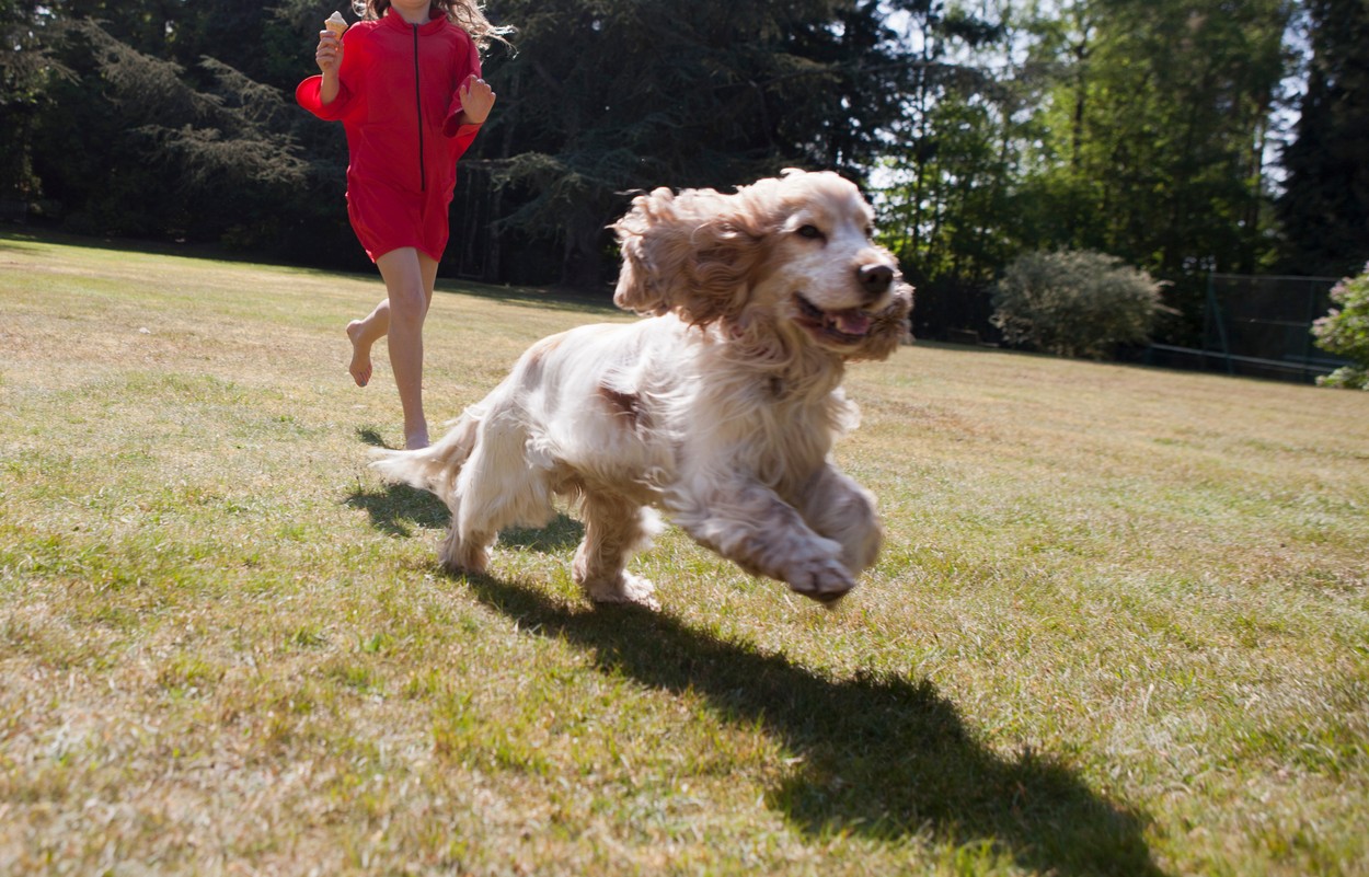 Girl playing with dog in backyard