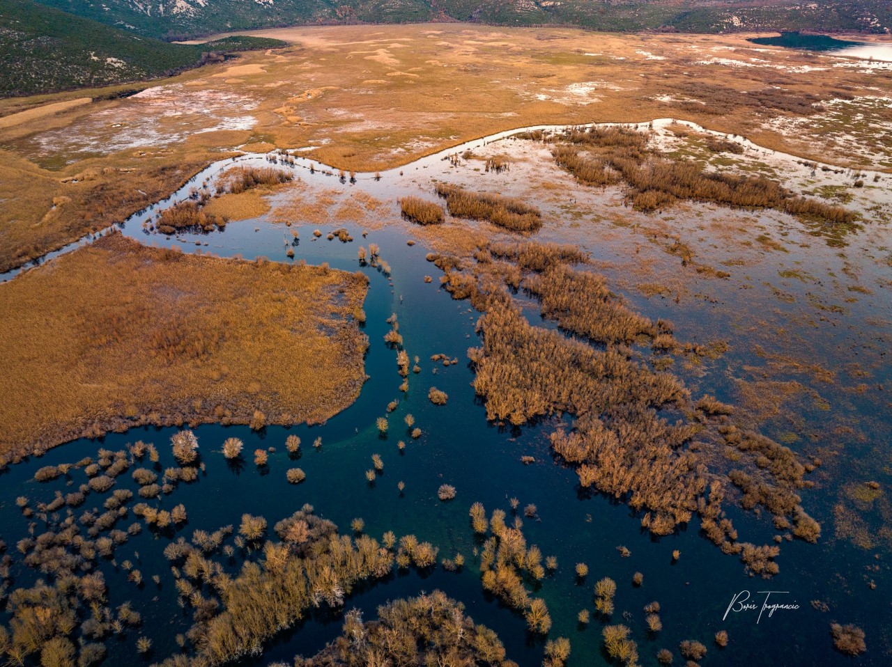 FOTO: Boris Trogrančić 