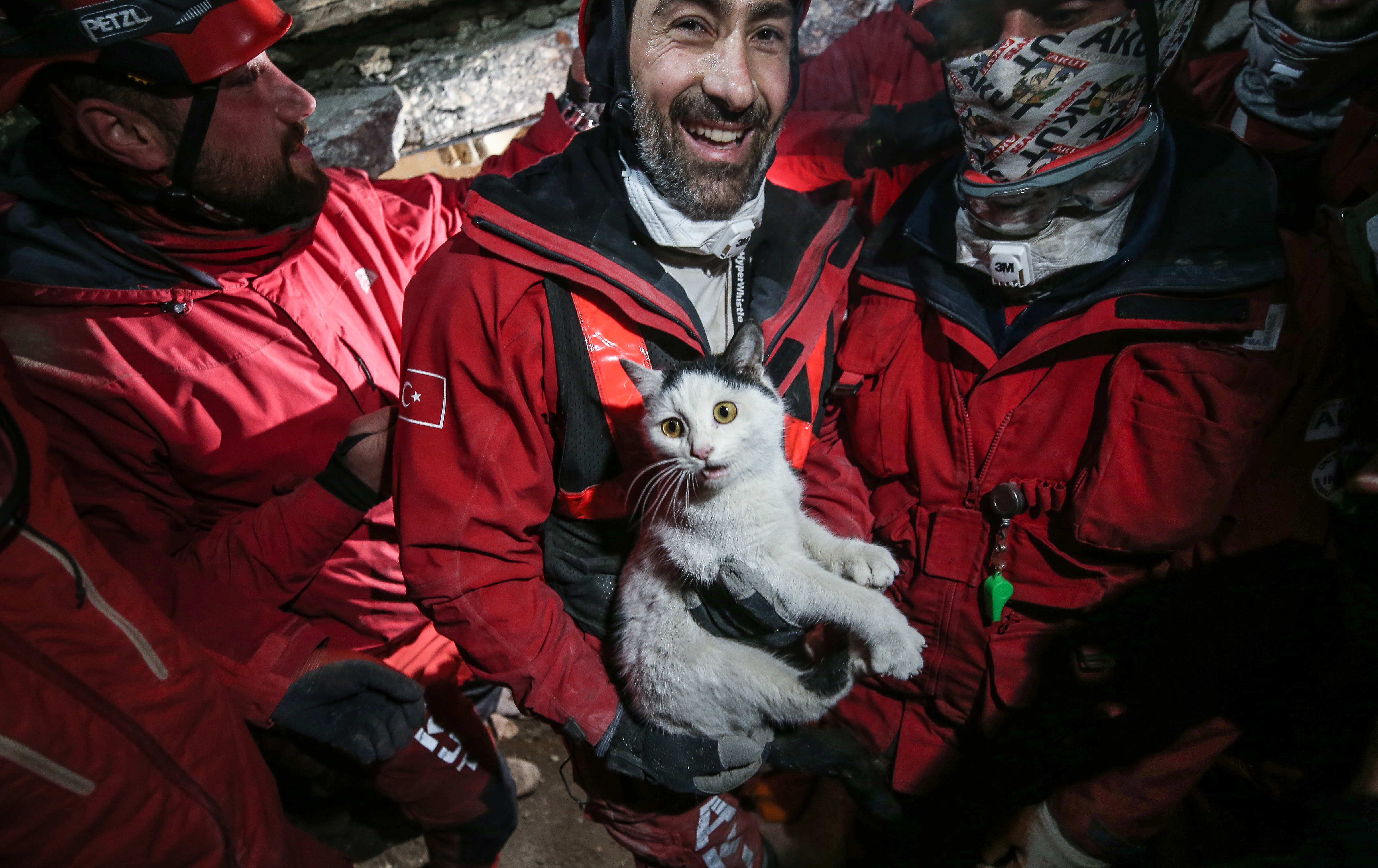 Turkiye: Spasioci spasili ženu, a zatim i mačku ispod ruševine 116 sati nakon zemljotresa