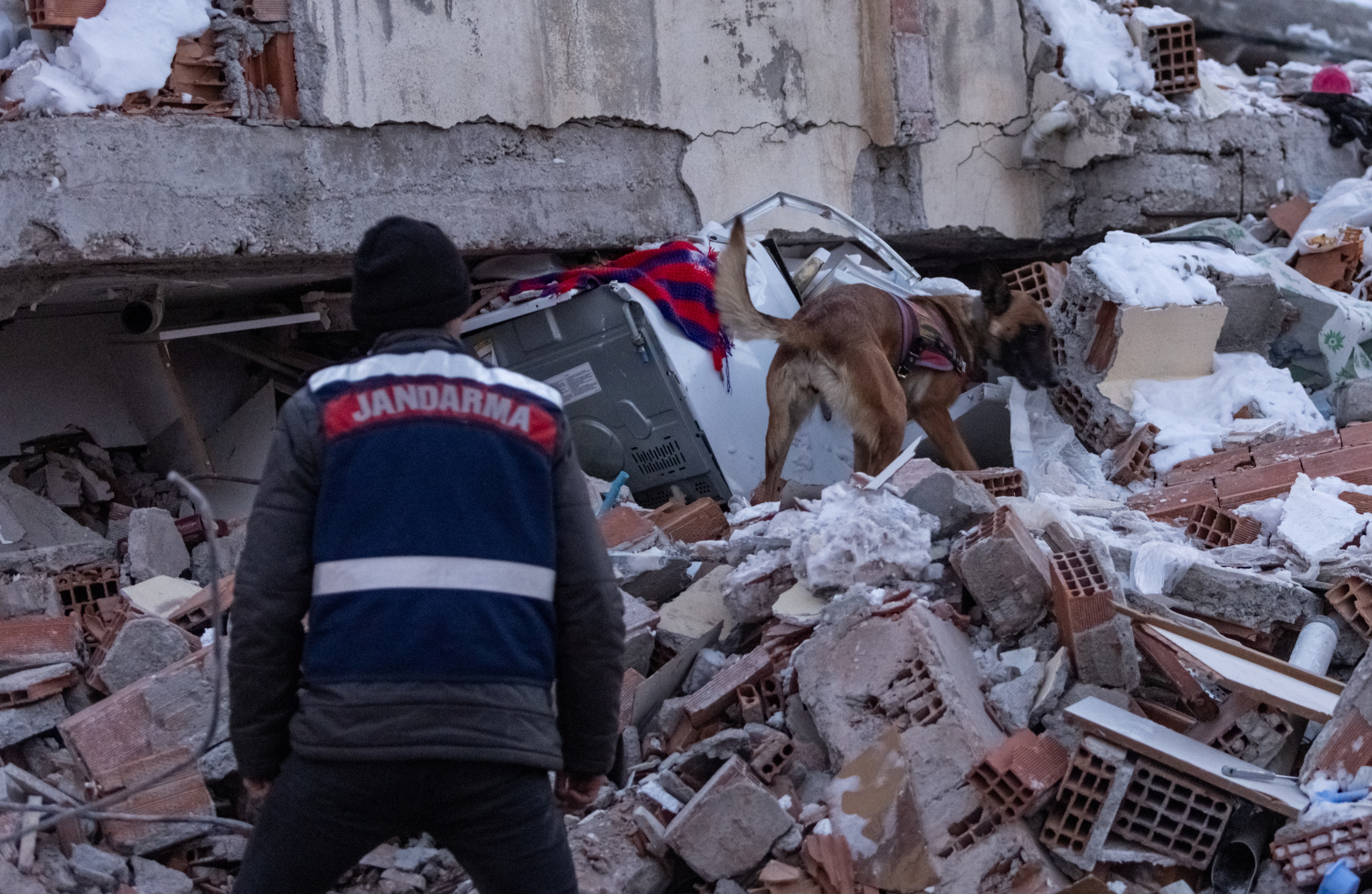 Aftermath of the deadly earthquake