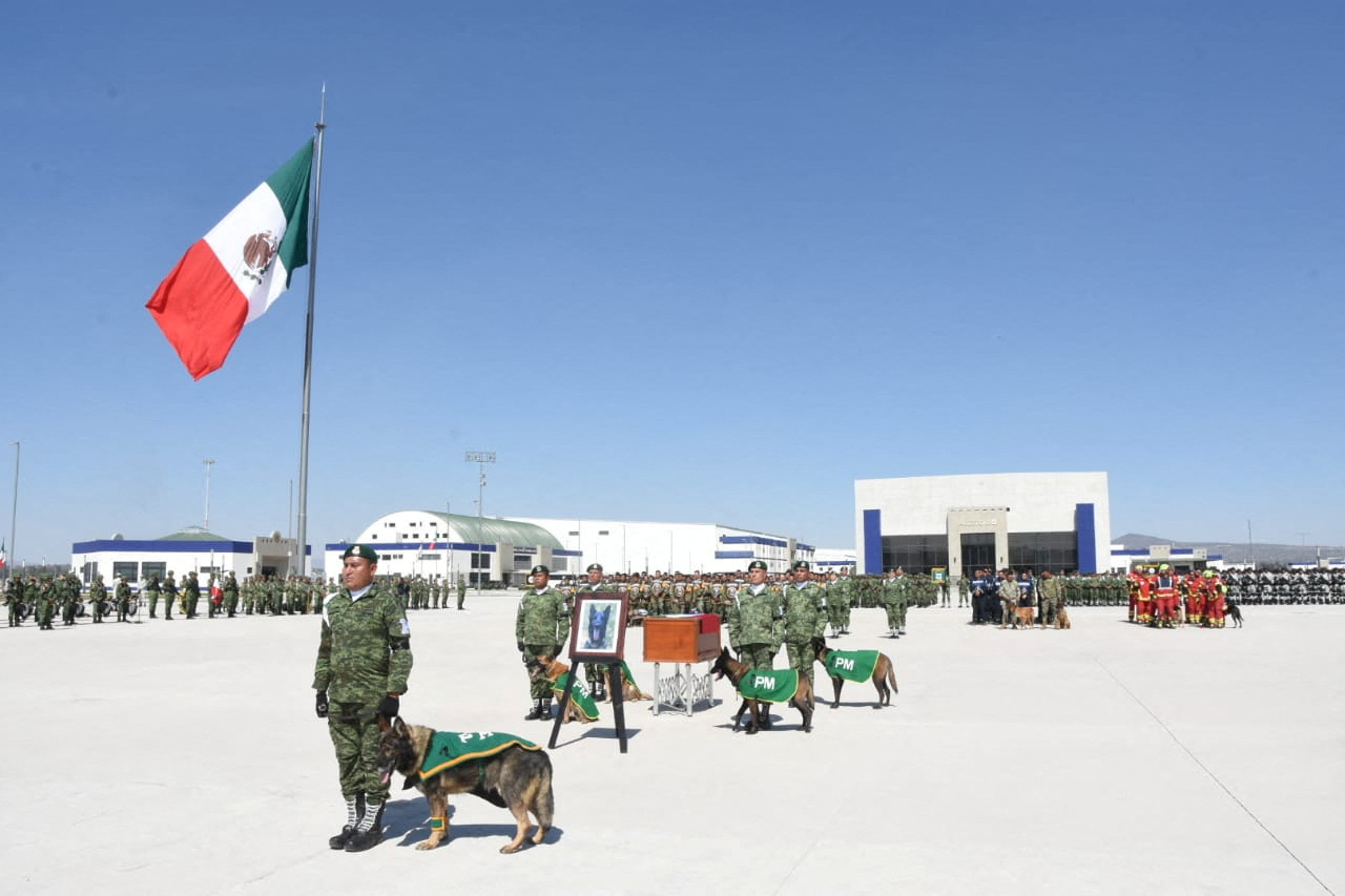 Mexico bids farewell to rescue dog who died in Turkey