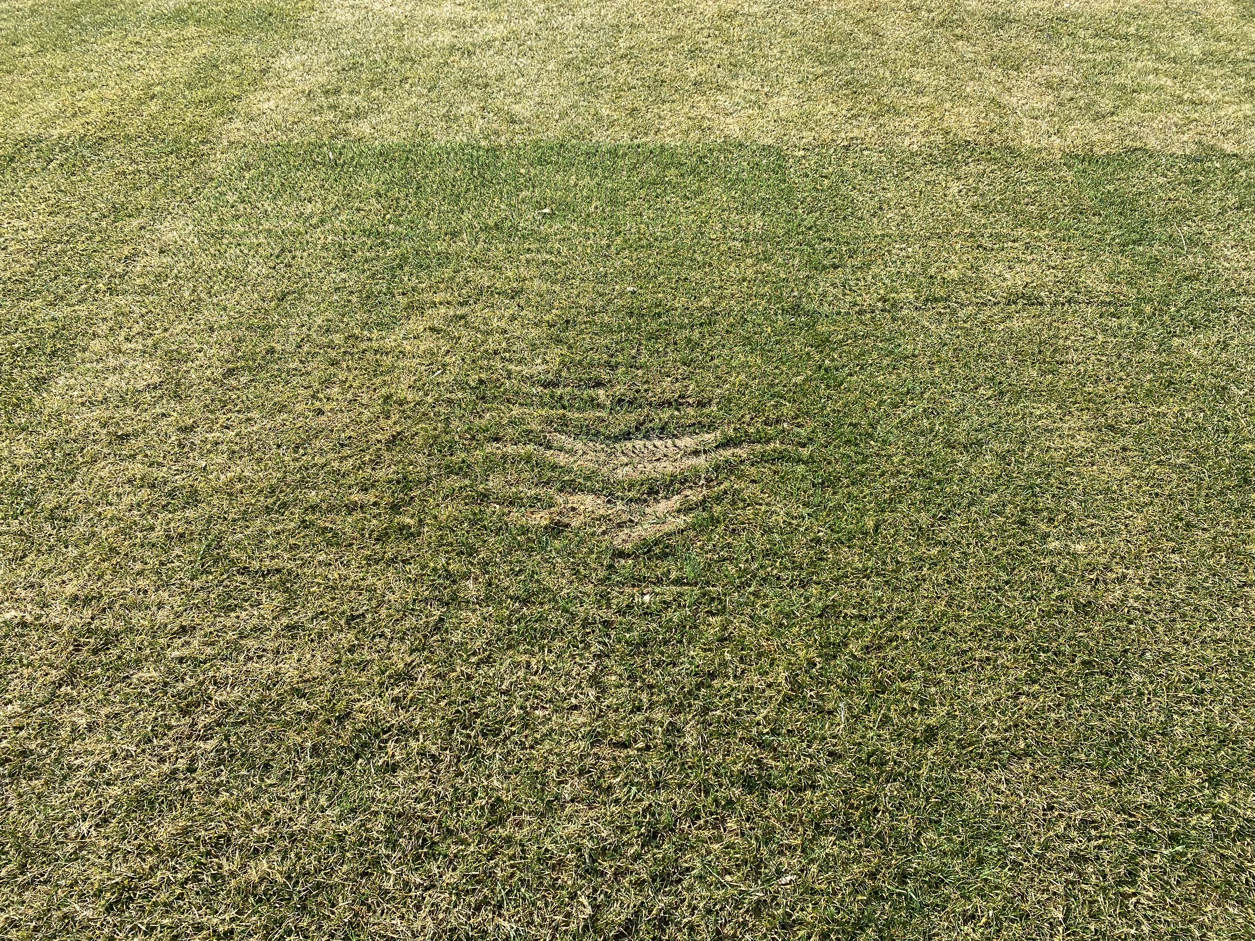 Stadion Tušanj, Tuzla, FK Sloboda, FK Tuzla City