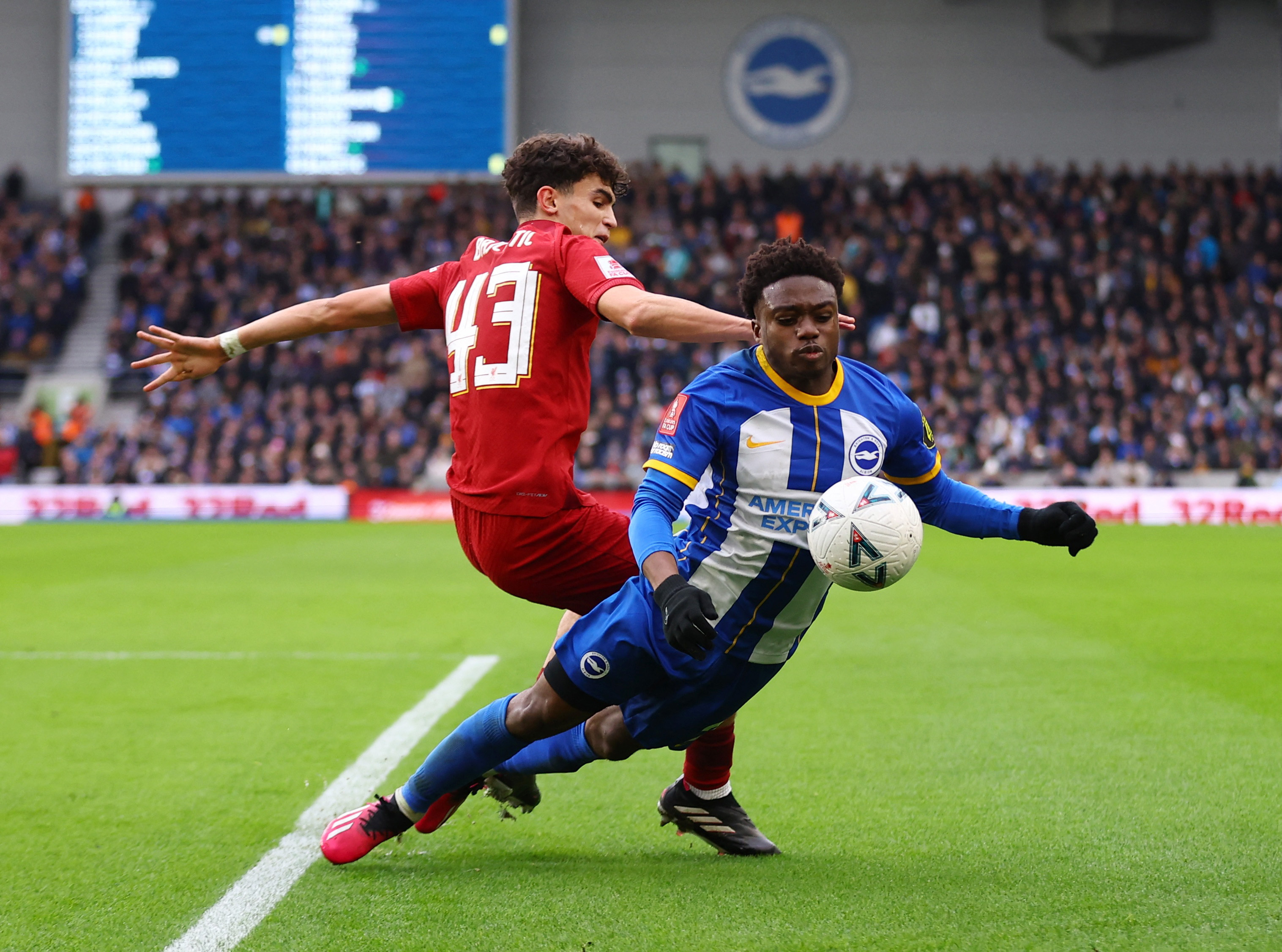 FA Cup - Fourth Round - Brighton &amp; Hove Albion v Liverpool