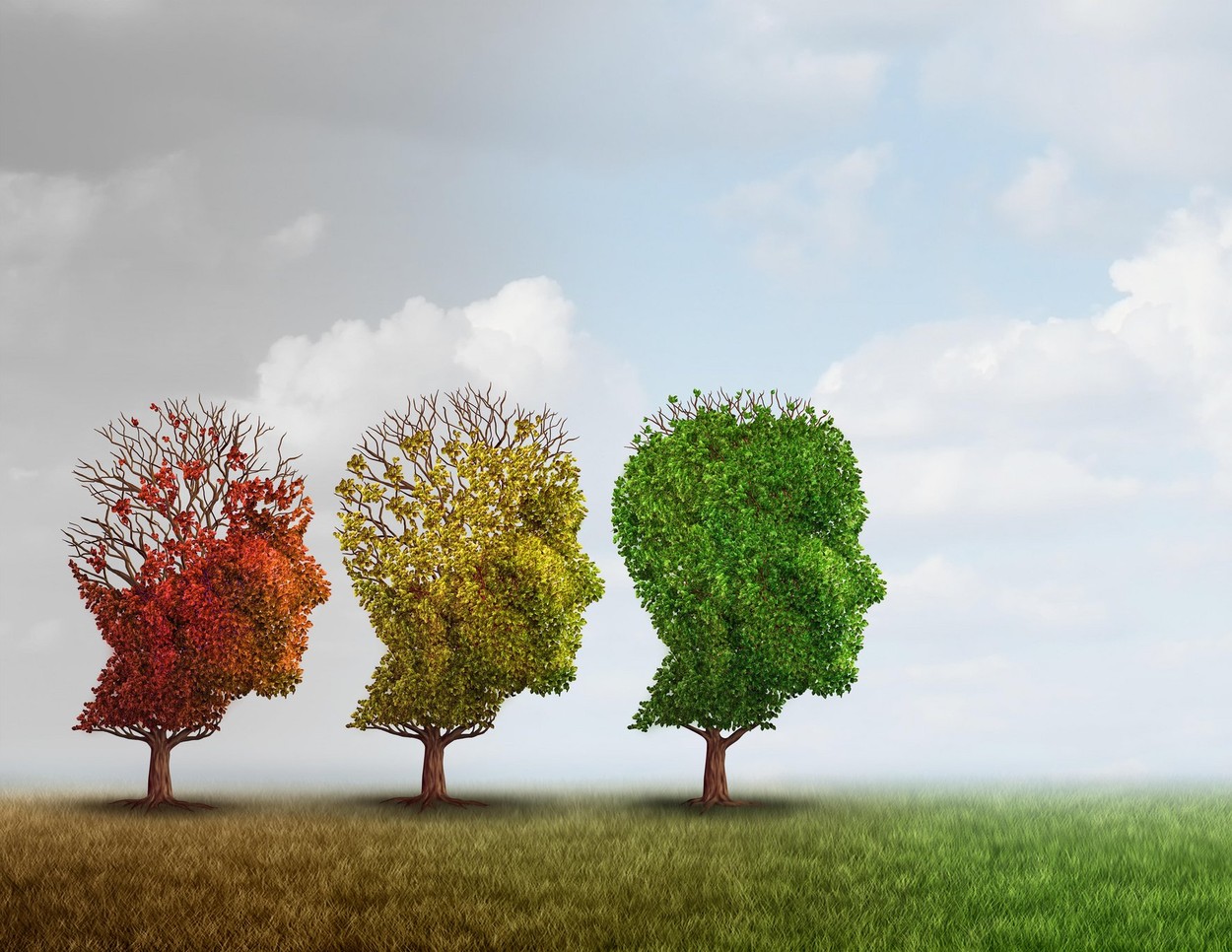 Dementia treatment and Alzheimer brain memory disease therapy concept as old trees recovering as a neurology or psychology cure metaphor with 3D illus