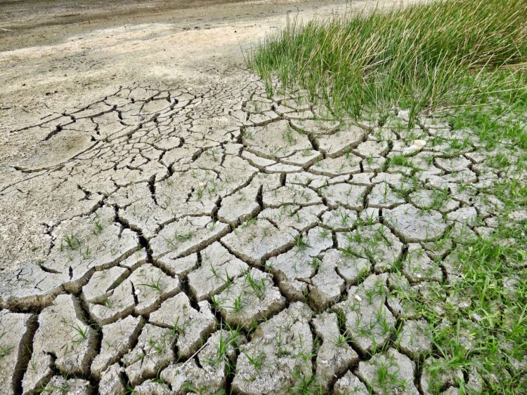 1678027120-climate-change-g12941856a_1920-750x563