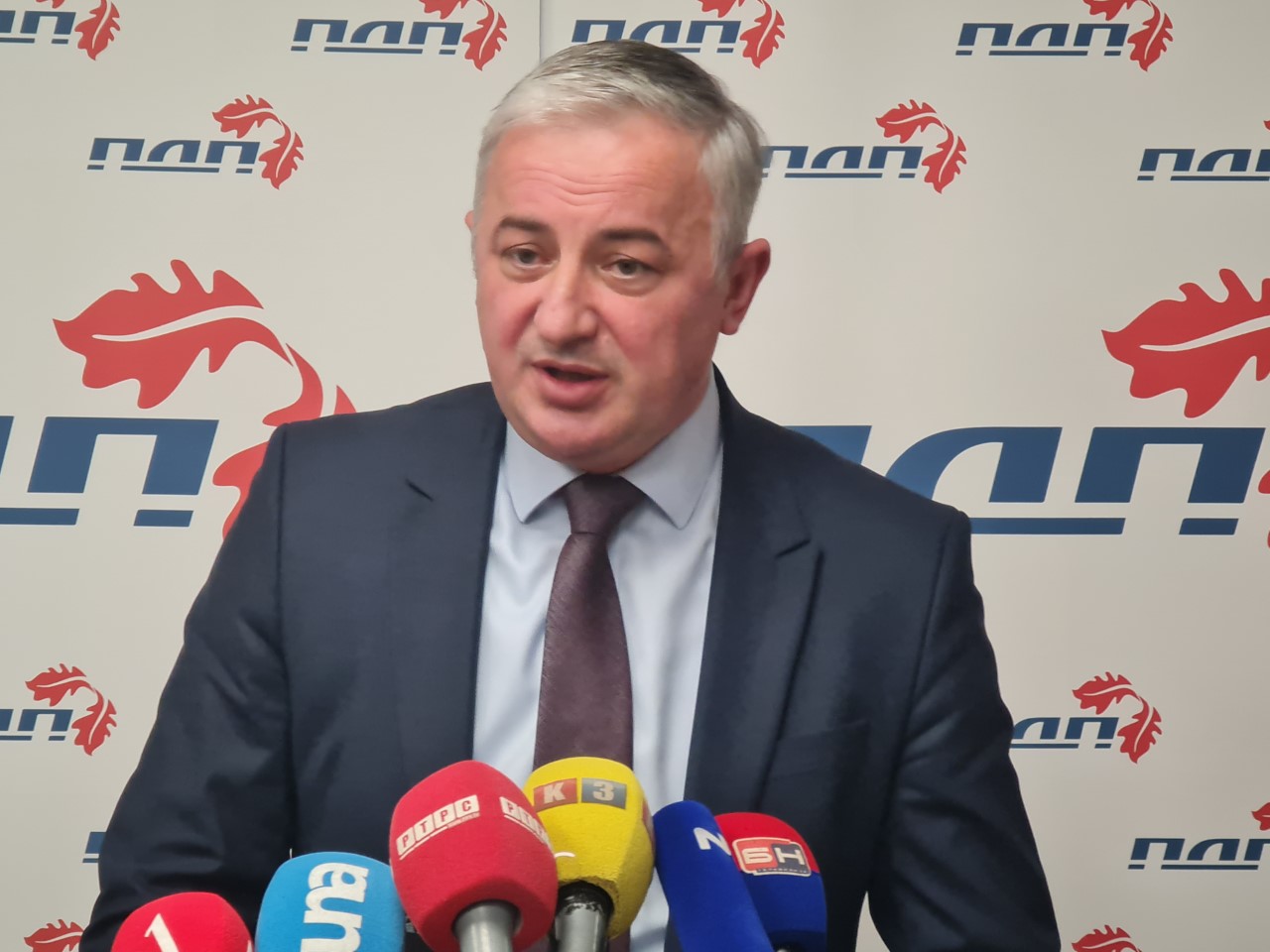 branislav borenović