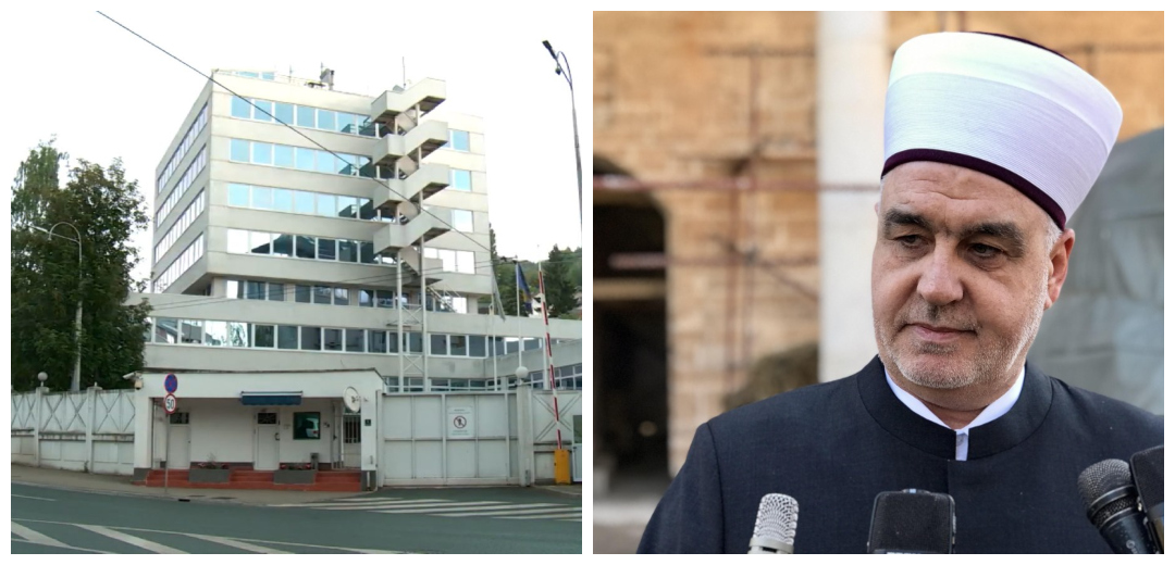 ohr-reis---BeFunky-collage