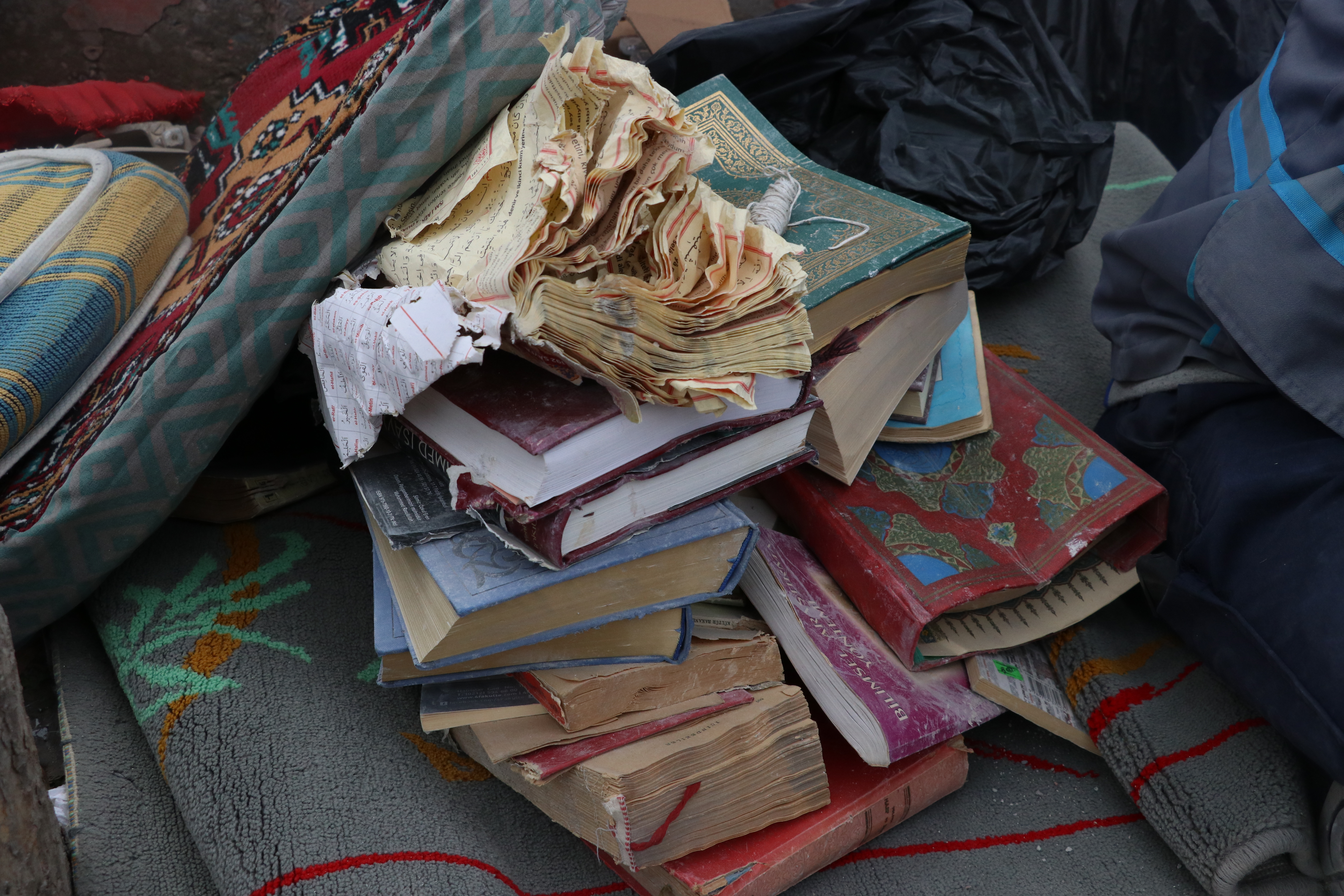 Ergün Haktanıyan/Anadolija