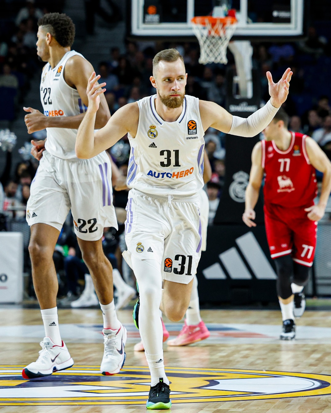musa dzanan