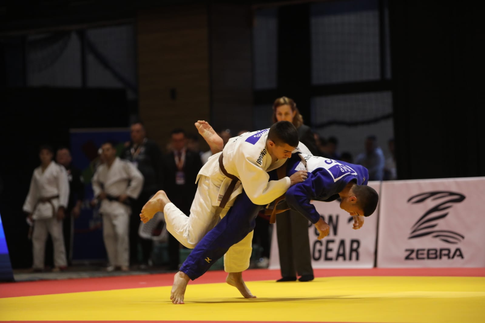 thumbnail_evropa judo kup (1)