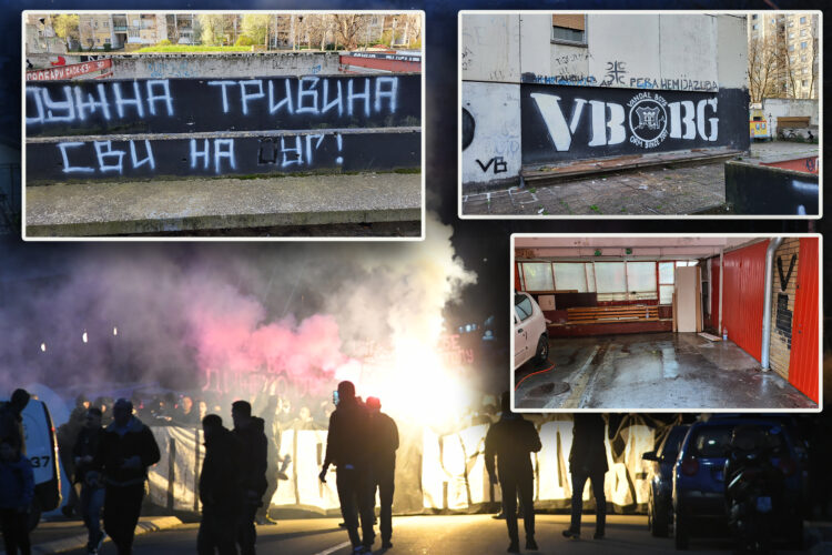 tuca crvena zvedza partizan