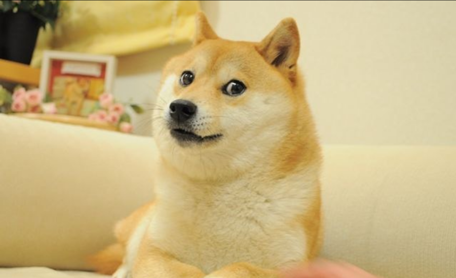 1680614466-Screenshot-2023-04-04-at-15-17-20-かぼすママ-@kabosumama-•-Instagram-photos-and-videos-900x550