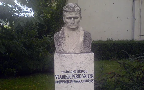 vladimir_peric_valter