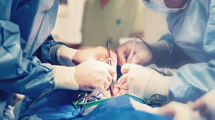 1680846261-1646986773-shutterstock_1023401719-e1674549606842-768x429-750x419