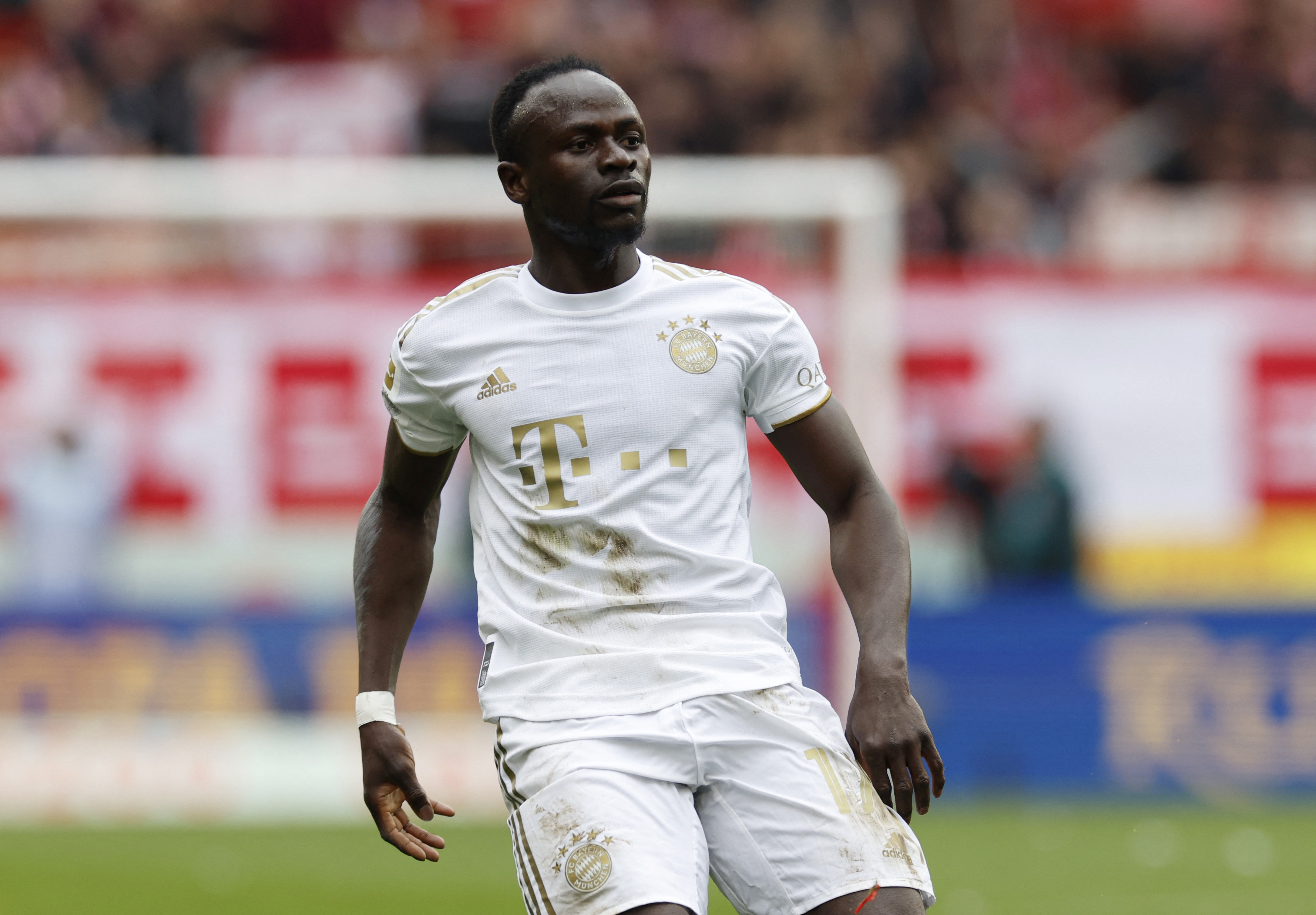 Bundesliga - SC Freiburg v Bayern Munich