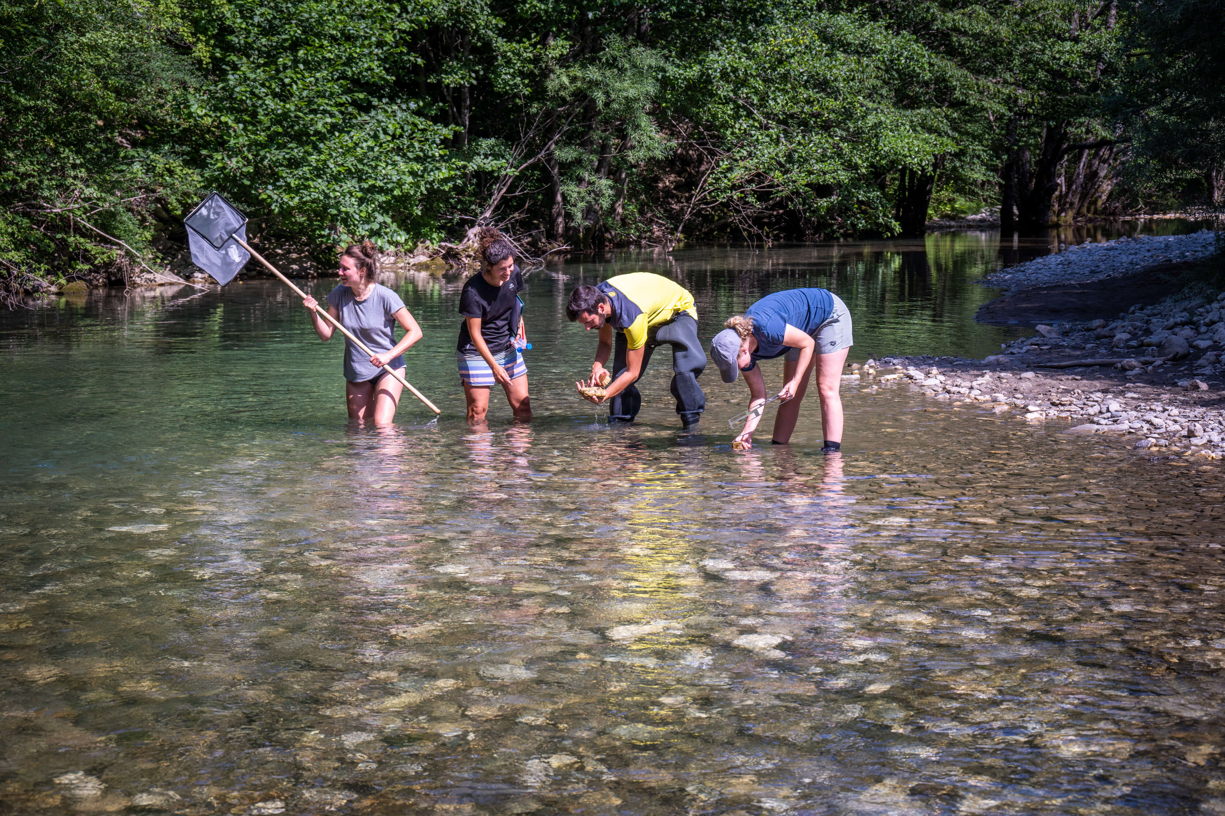 17fe948a6ddac189cf7b4930bcdbc0b6b6c39e5daf6dcc695b0bddd75cb636cf