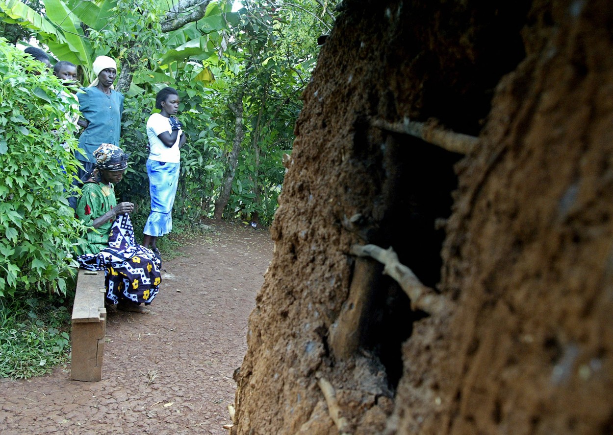 profimedia-0021491097