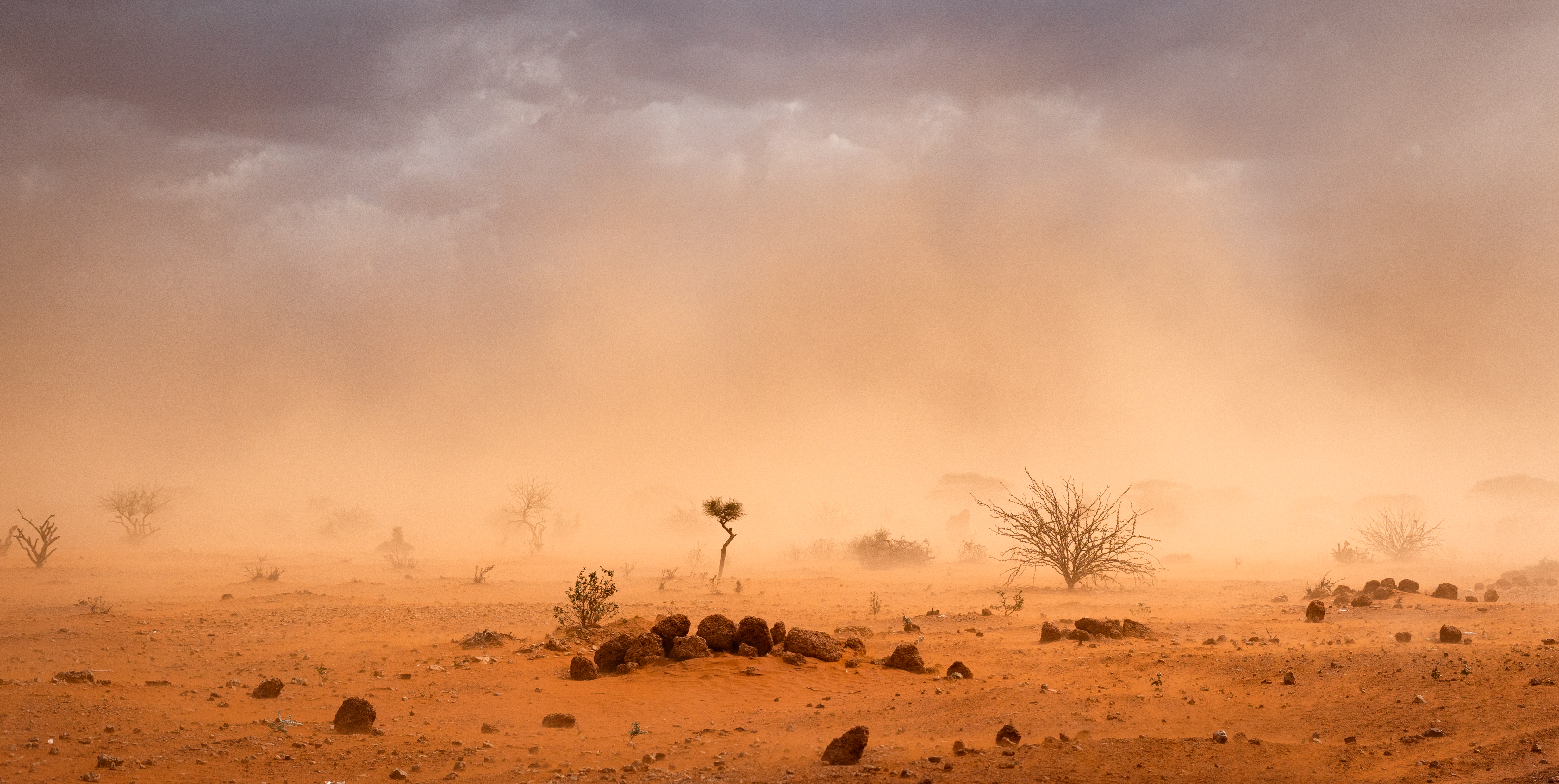 Climate,Change,In,Africa:,Dramatic,Dusty,Sandstorm,Blowing,Sand,And