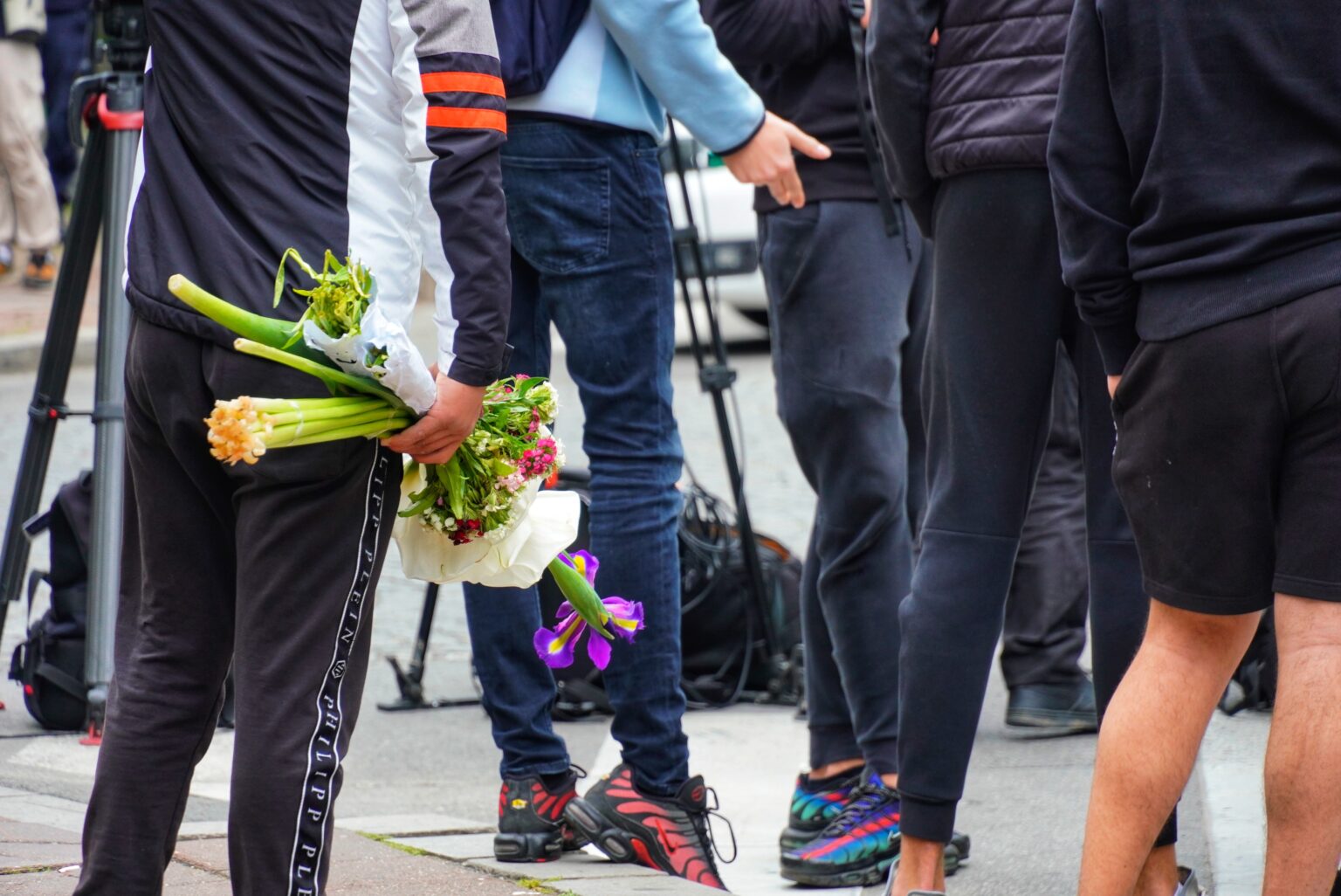 ISPRED O "VLADISLAV RIBNIKAR"