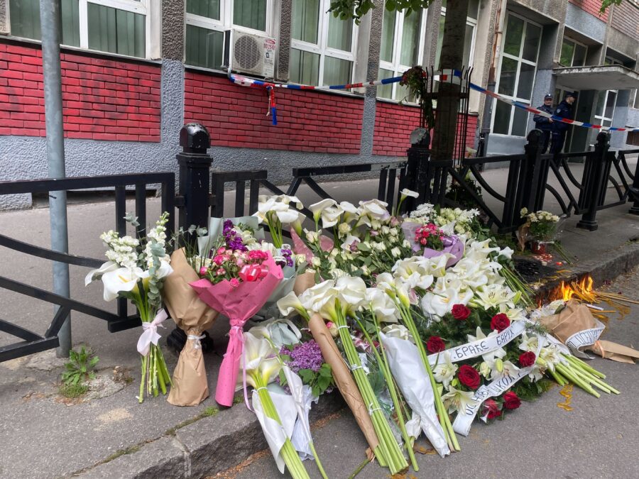 masakar škola Vladislav Ribnikar