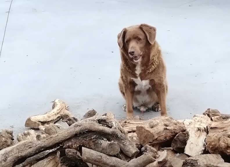 Screenshot 2023-05-15 114711