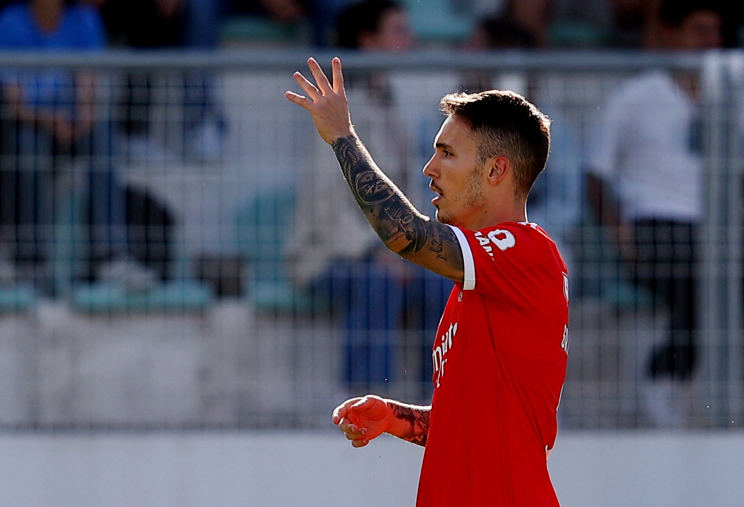 Primeira Liga -  Portimonense v Benfica