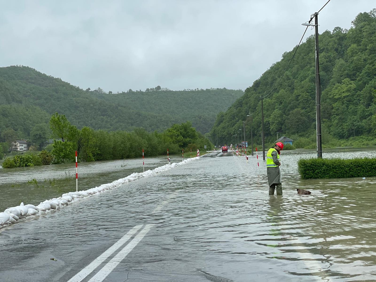 received_6616028765128562