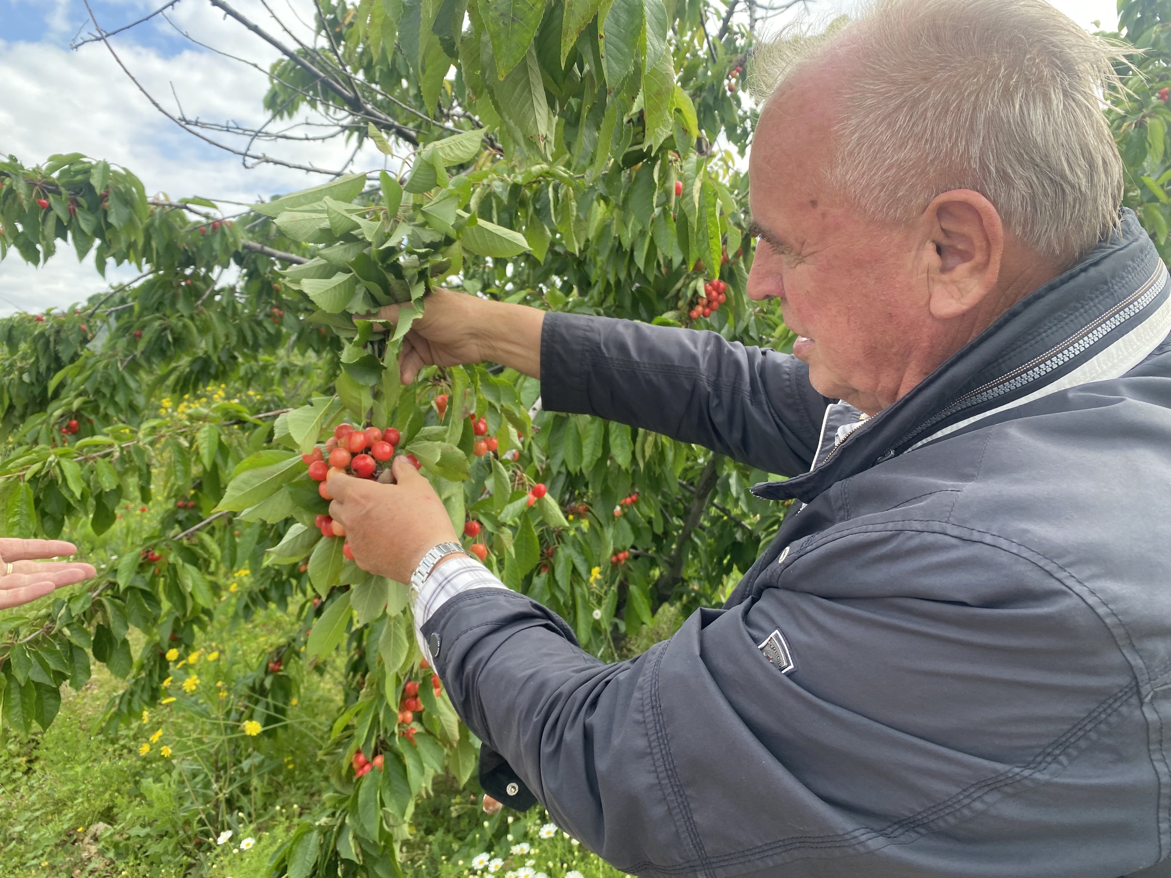 poljoprivrednici-image00001