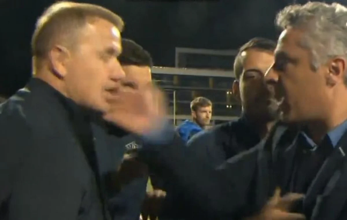 Senijad Ibričić Šljaga