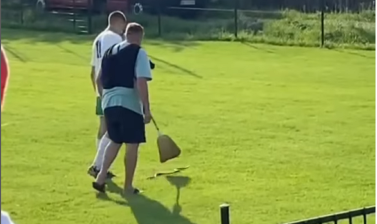 1685091371-zmija-na-terenu-750x446