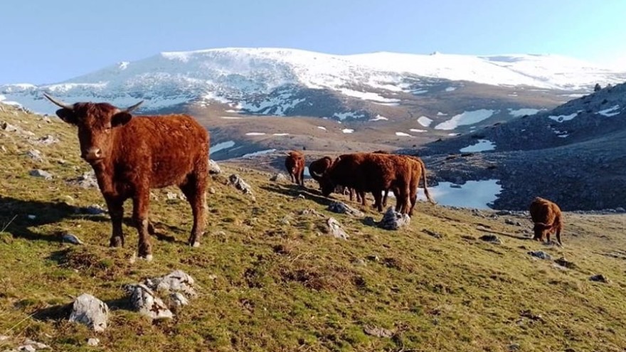 342501918-1919578781775451-798037846470761373-n-880x495 (1)