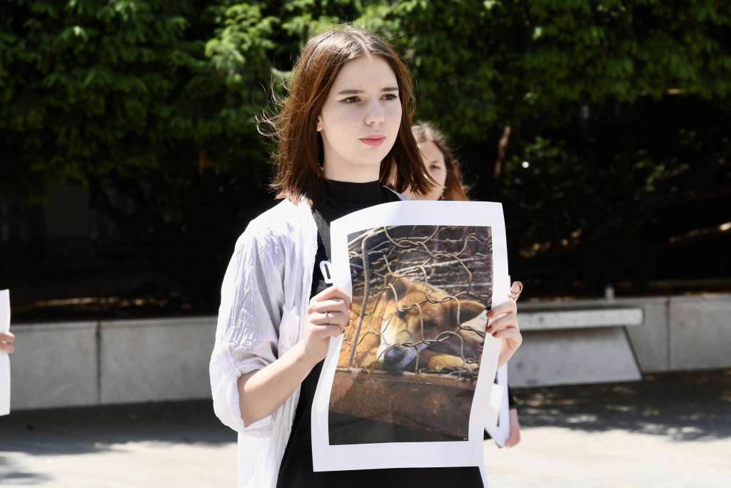 l_c87c000ca175ca824fdab84363c497bb