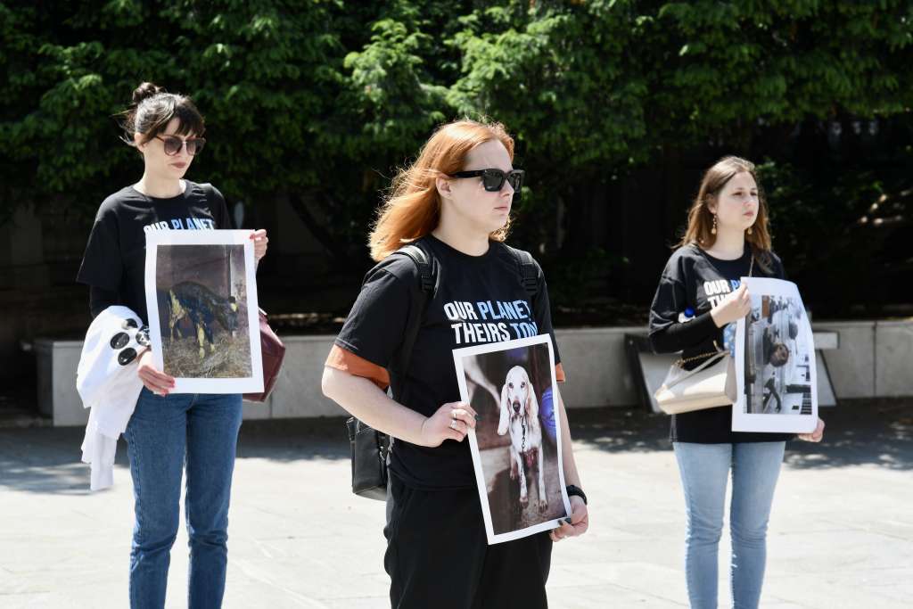 l_e6adc26c4ffdc0511c8c2d00c6685467