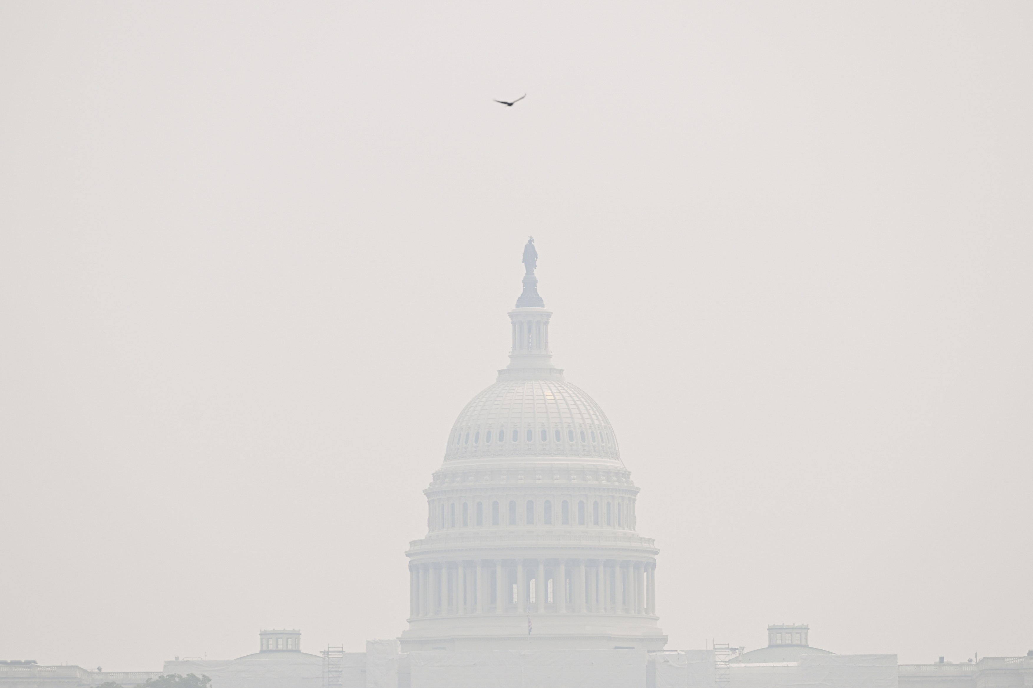 Canada Wildfire Smoke in Washington D.C.