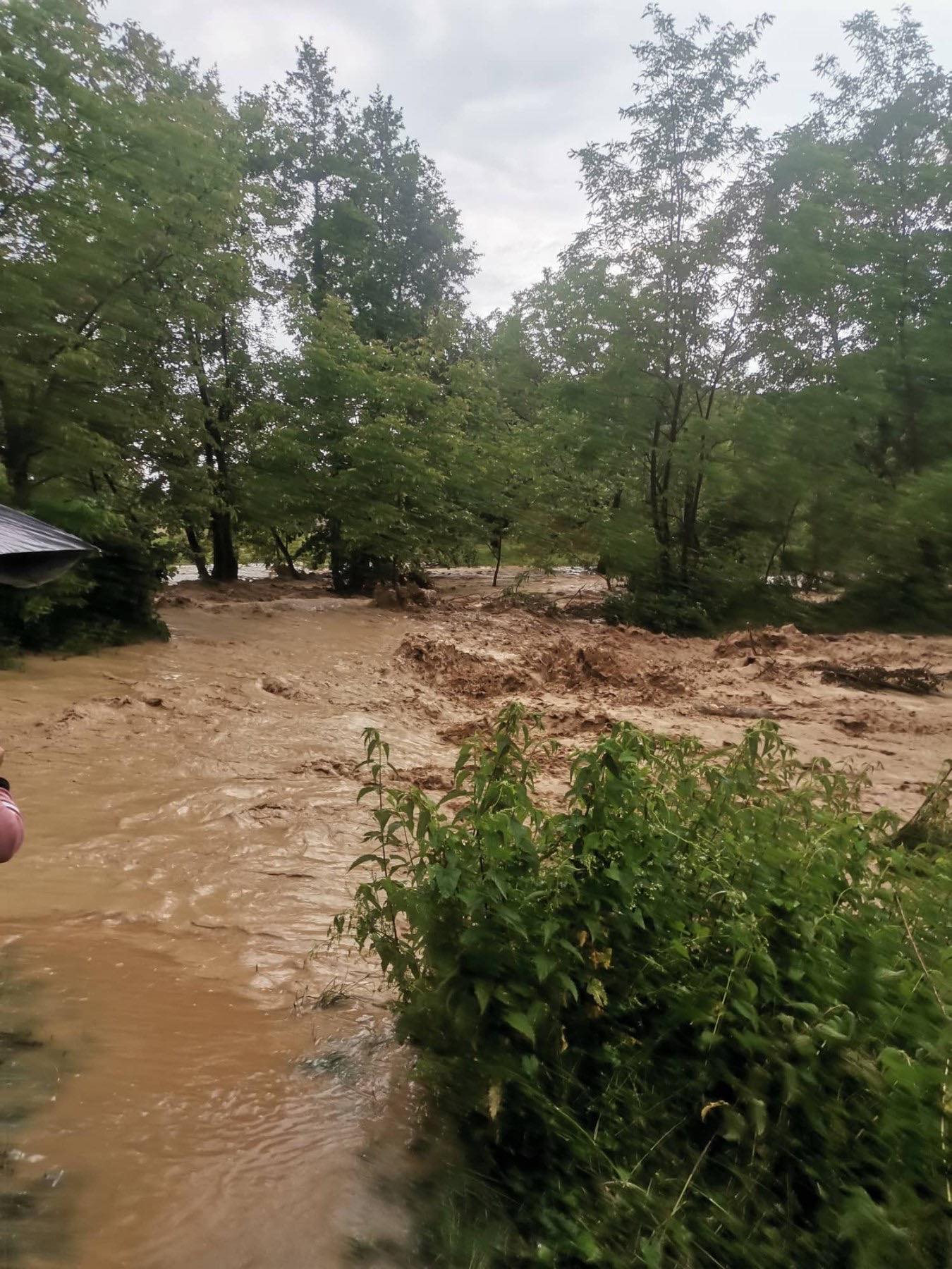 353110195_3597039020582887_3051906946621610292_n